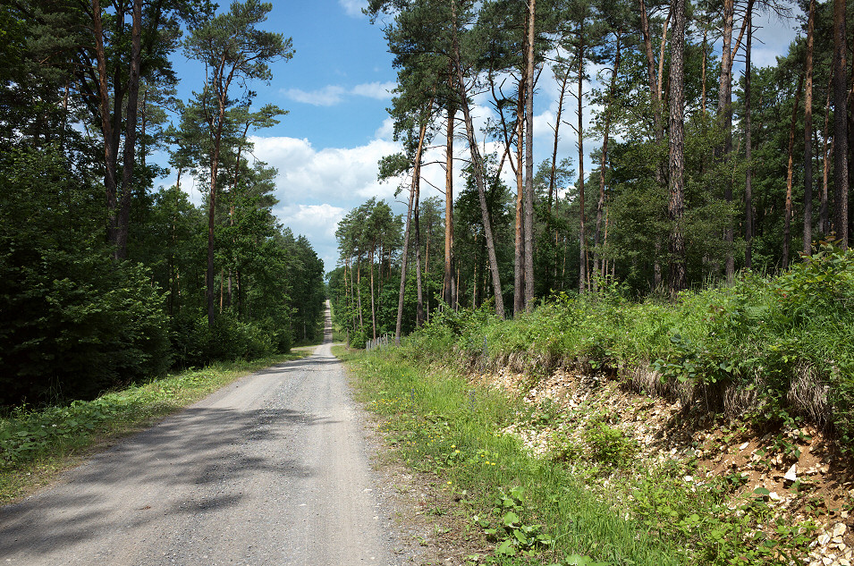 okolice Leniczwki Bizorda