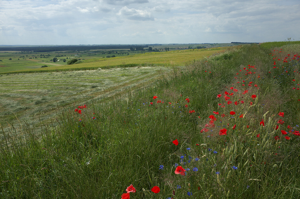 Skowronno Grne, Gry Piczowskie