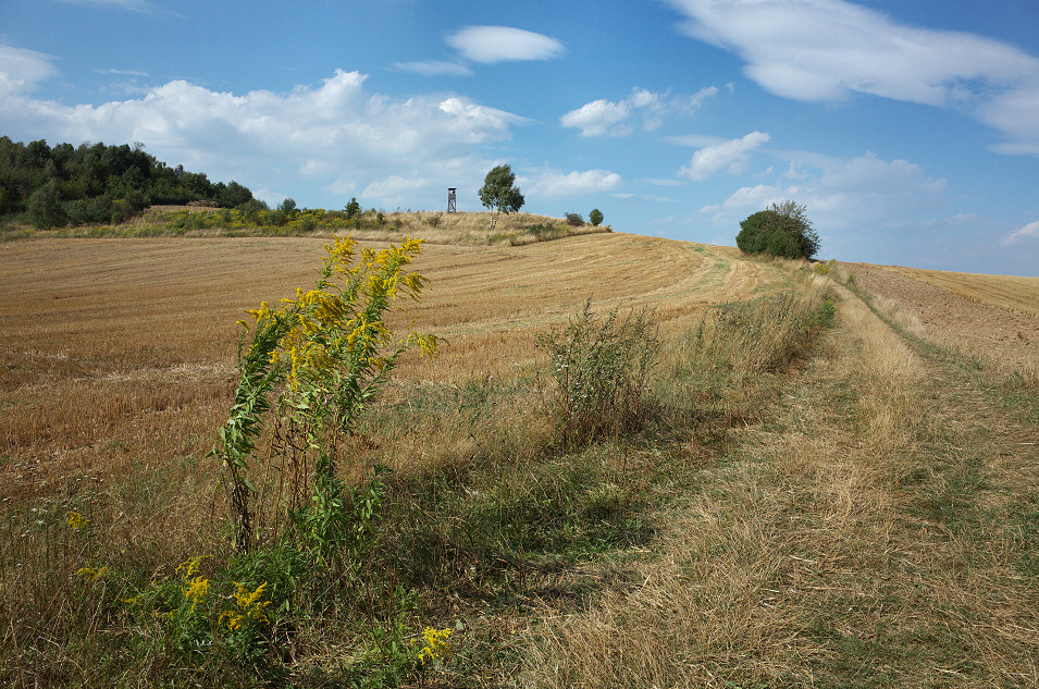 okolice erkowic