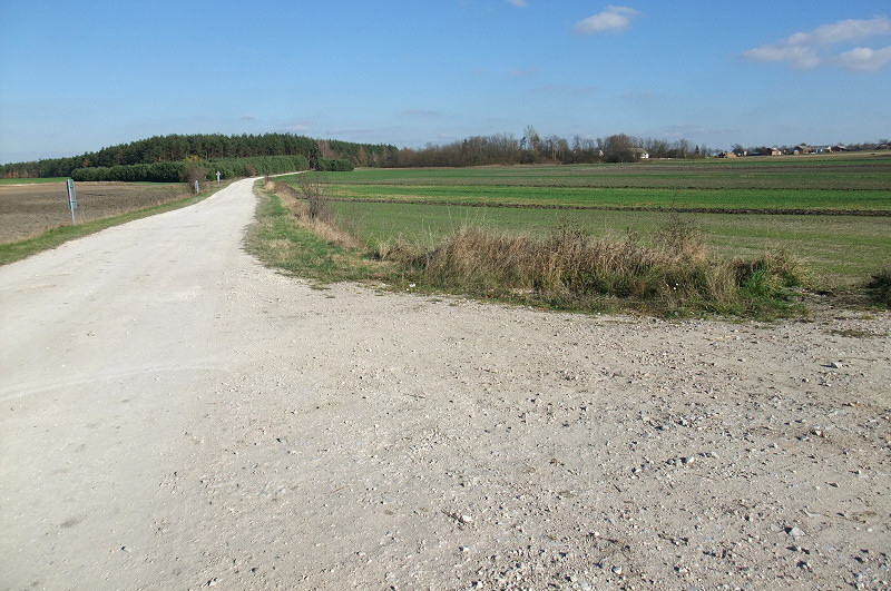 Węgrzynów