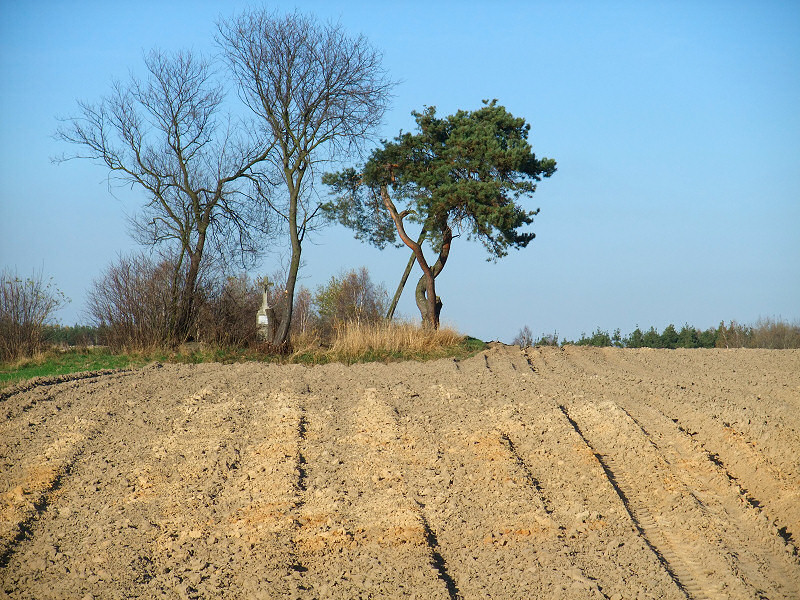 Dobraków