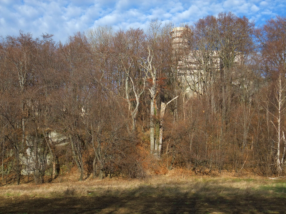 Smoleń