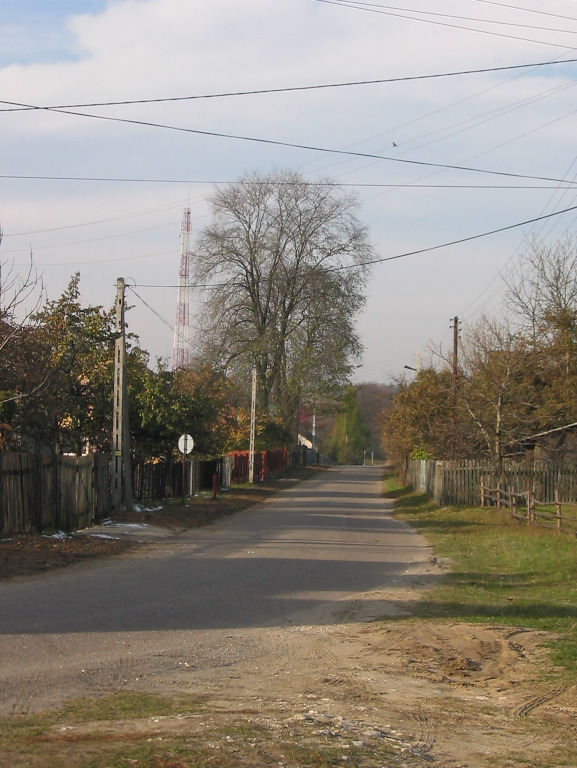 Suliszowice
