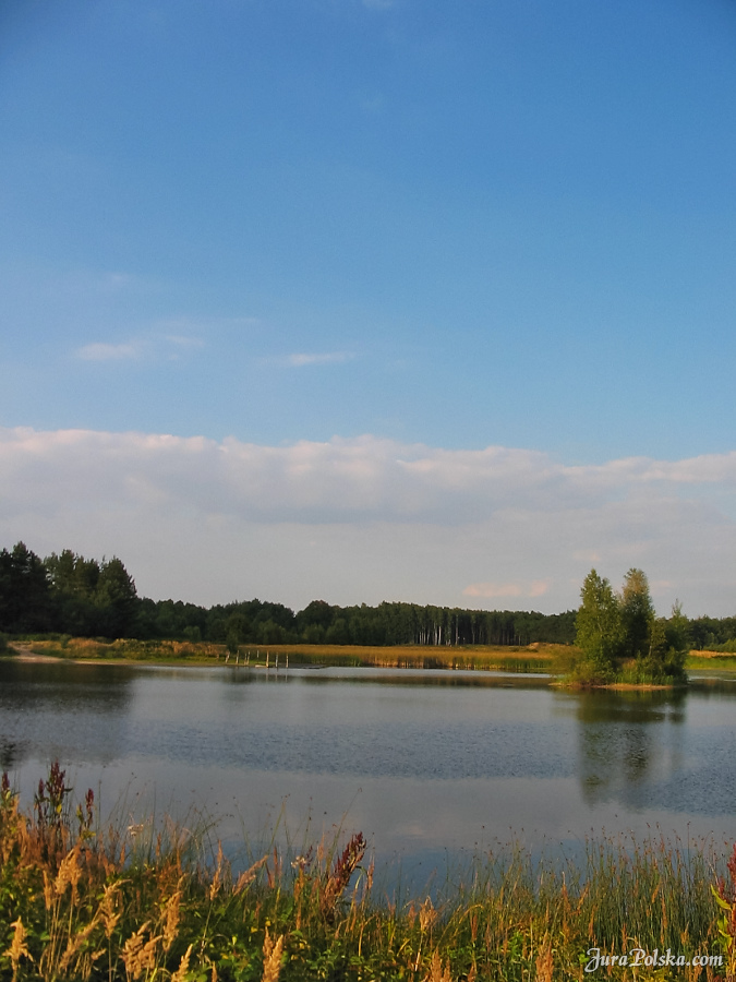 Stawy Gorzkowce