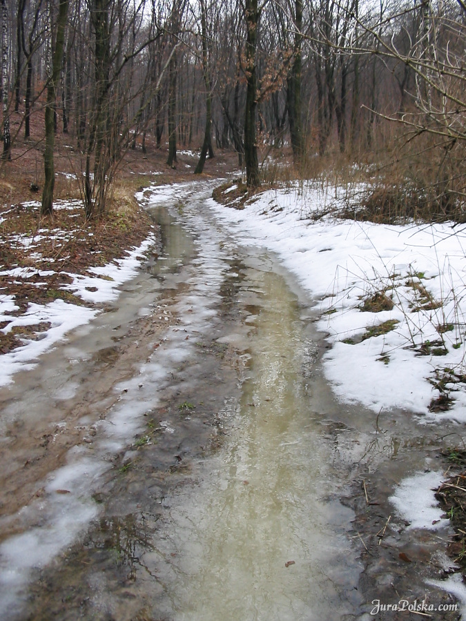 Kolonia Dobra