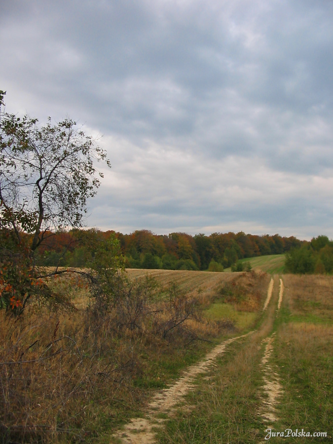 Kolonia Dobra