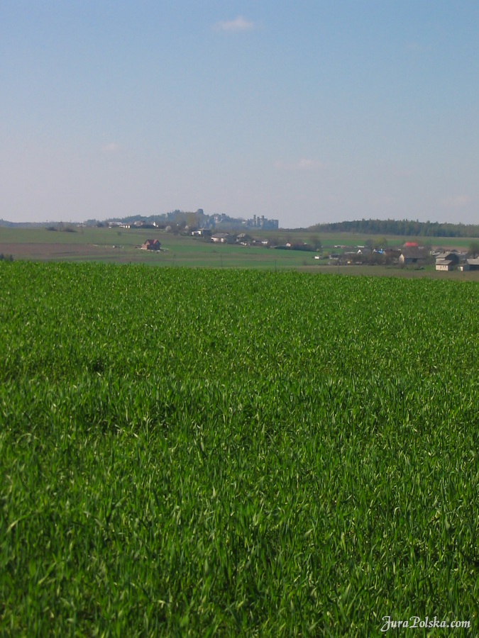 Niwiska