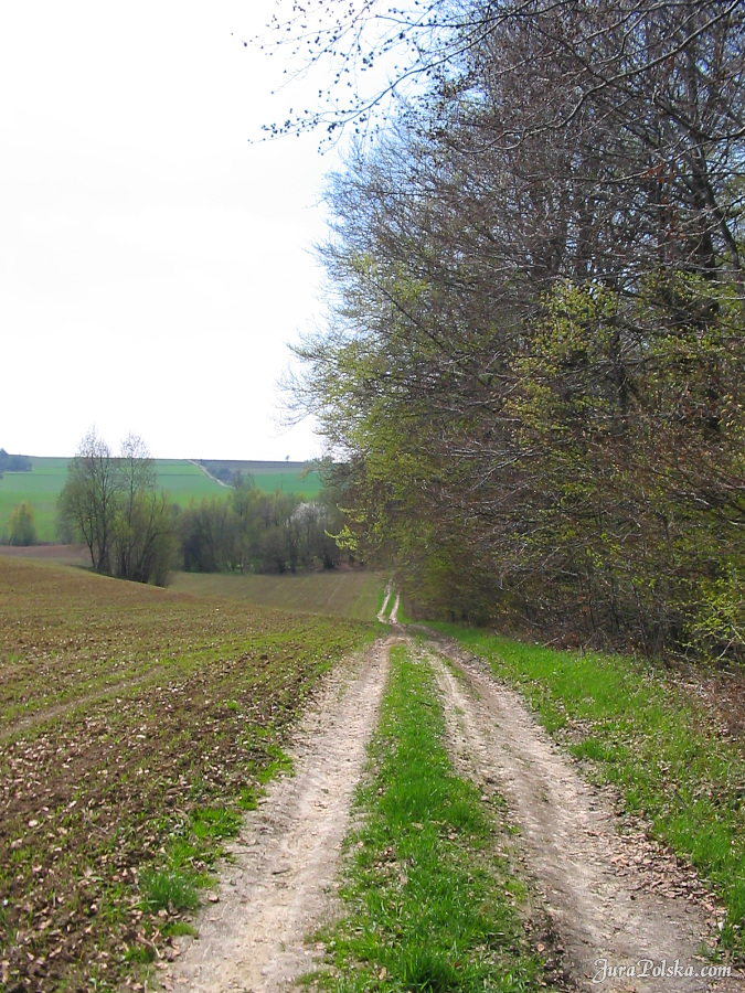 Kolonia Dobra