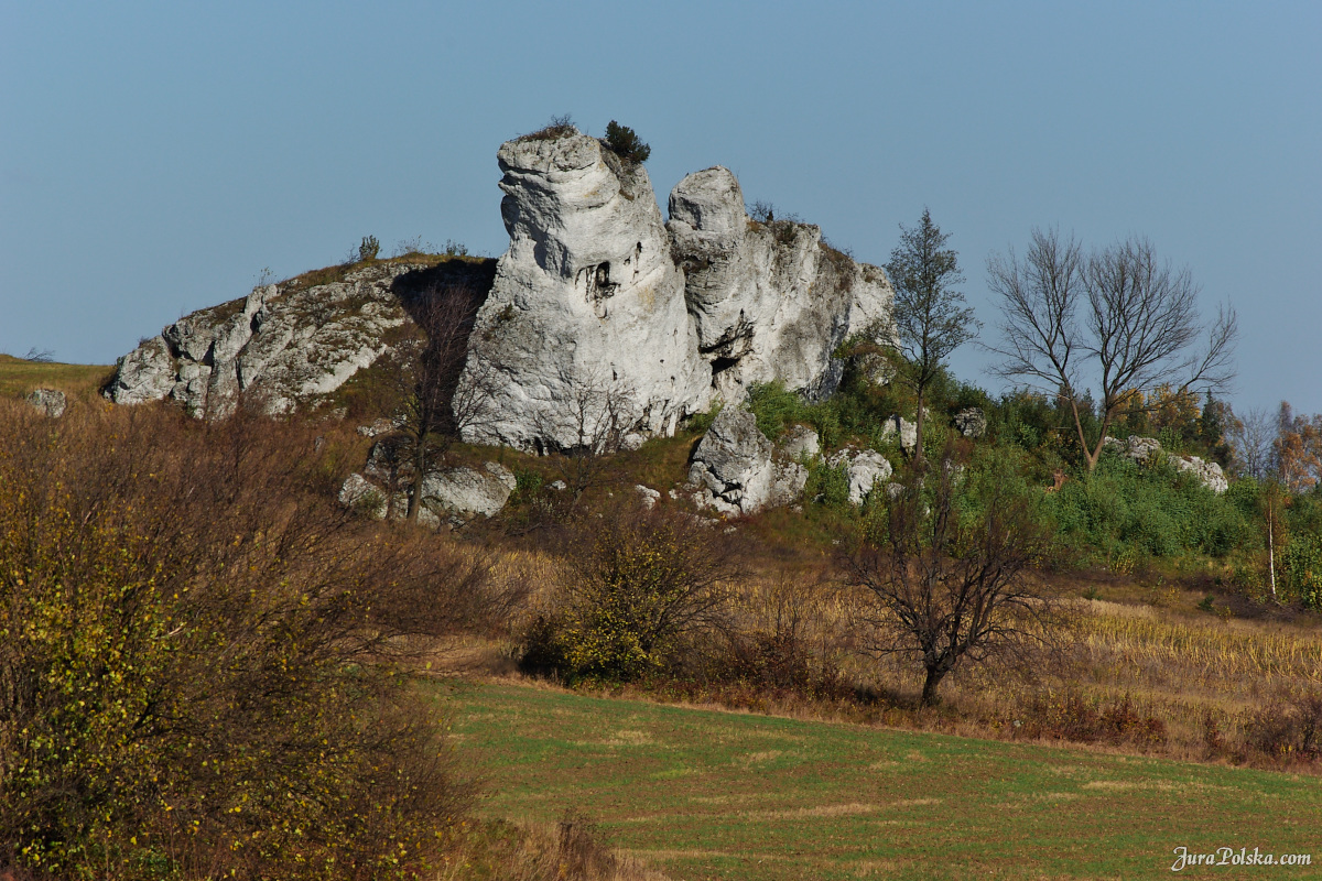 Ryczowski Region Skakowy