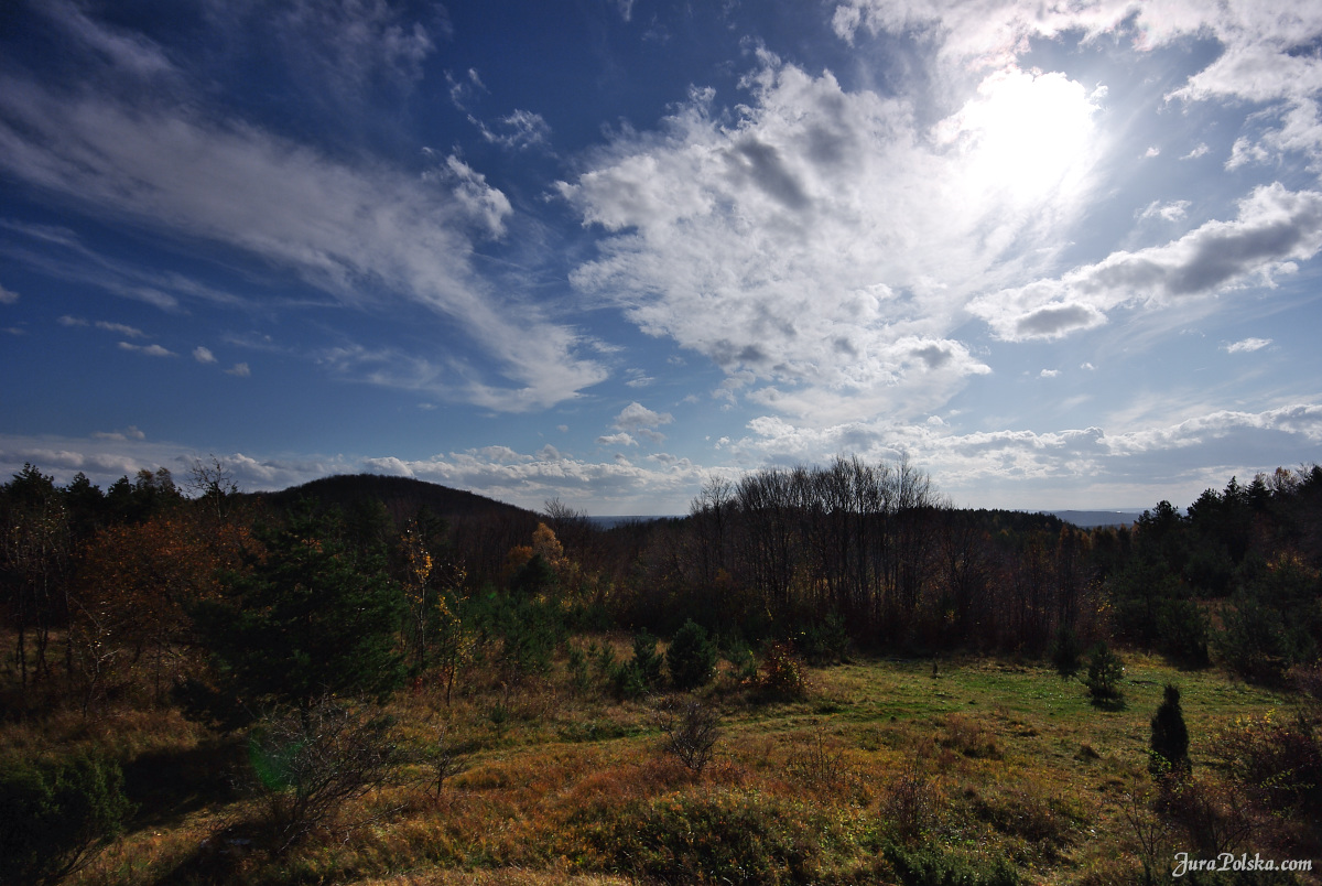 Ryczowski Region Skakowy