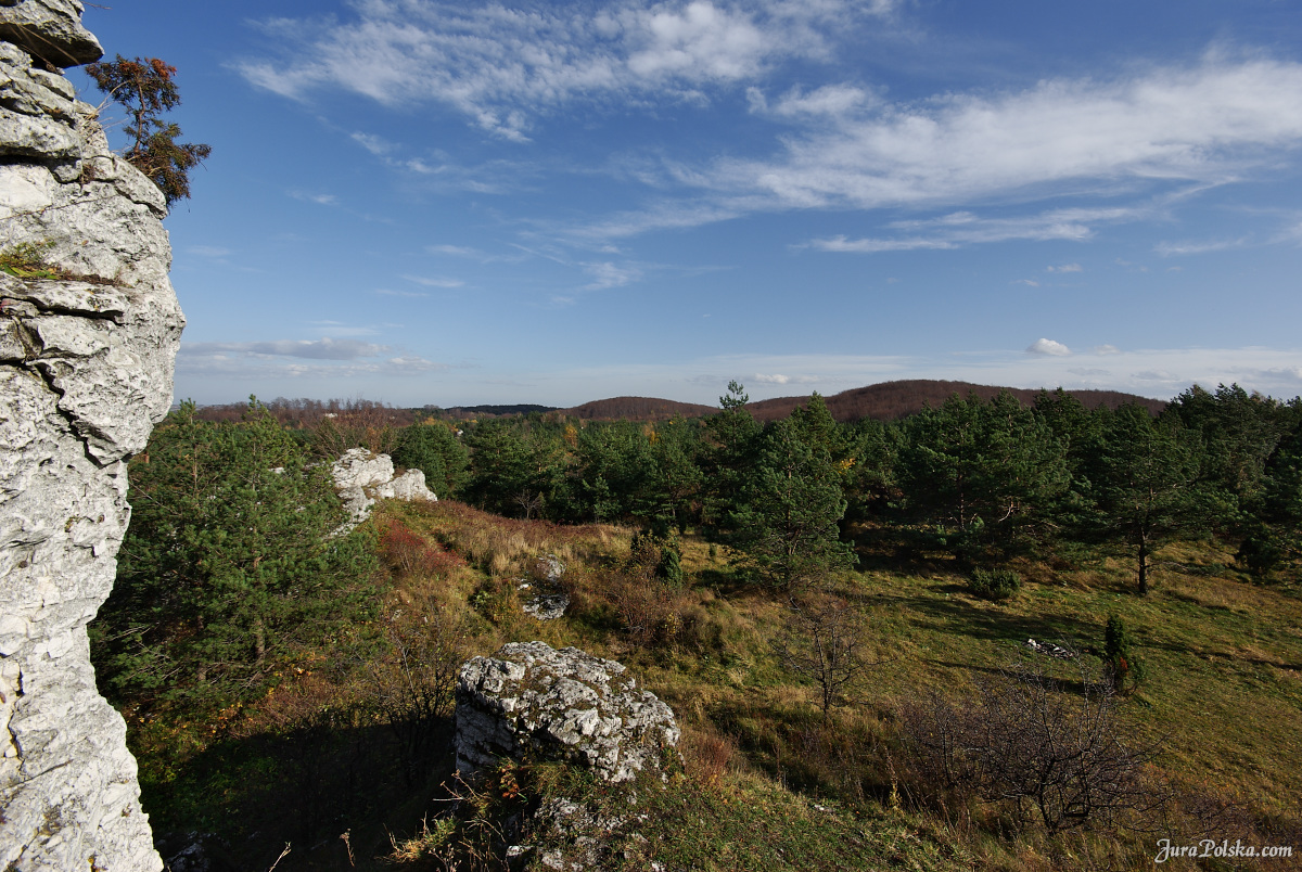 Ryczowski Region Skakowy