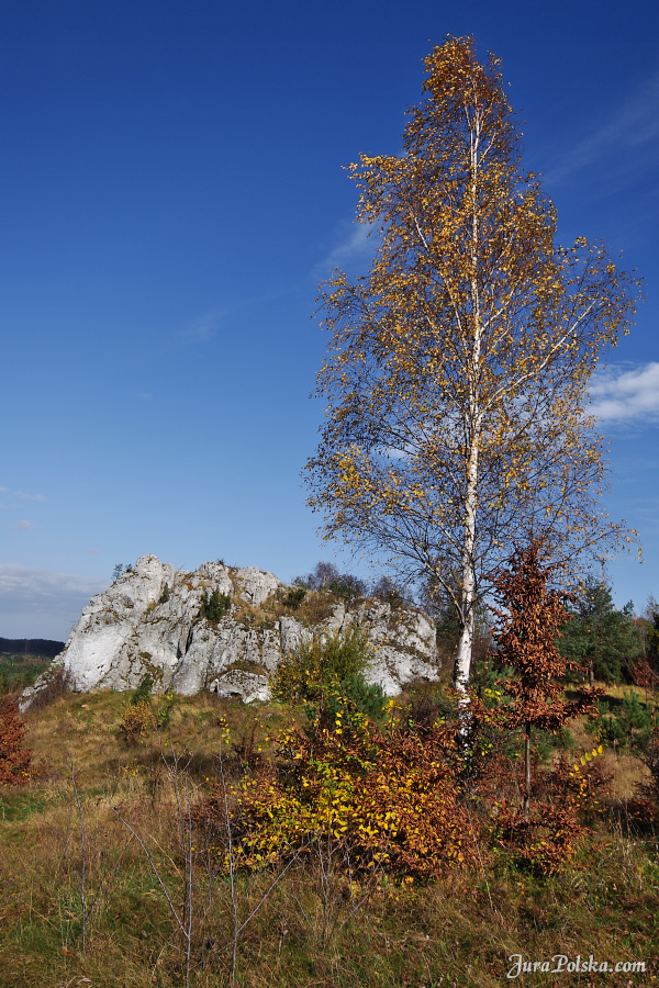 Ryczowski Region Skakowy