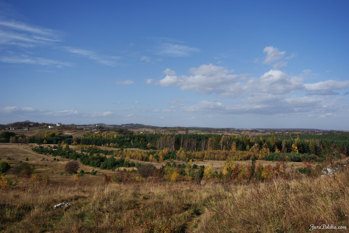 Ryczowski Region Skakowy