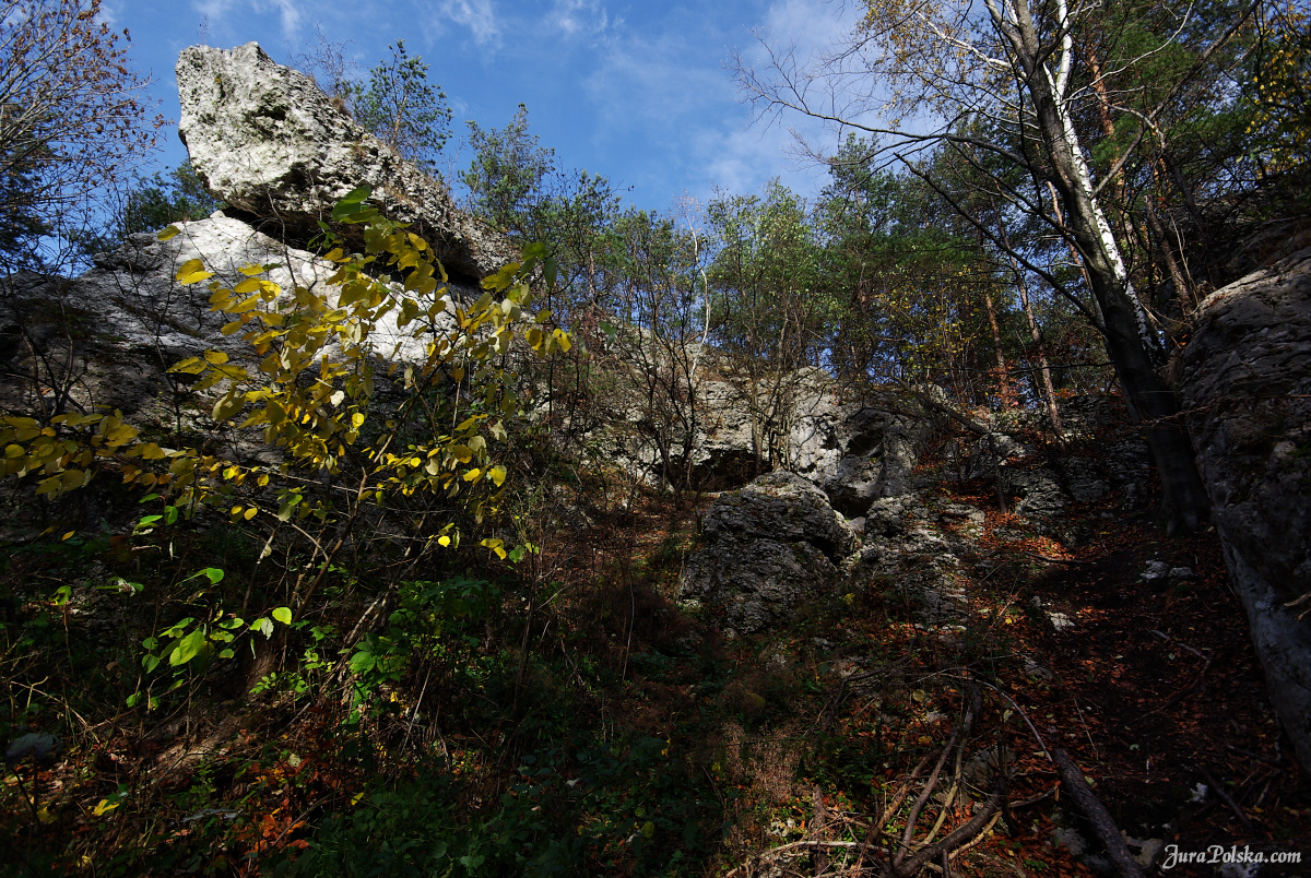 Ryczowski Region Skakowy