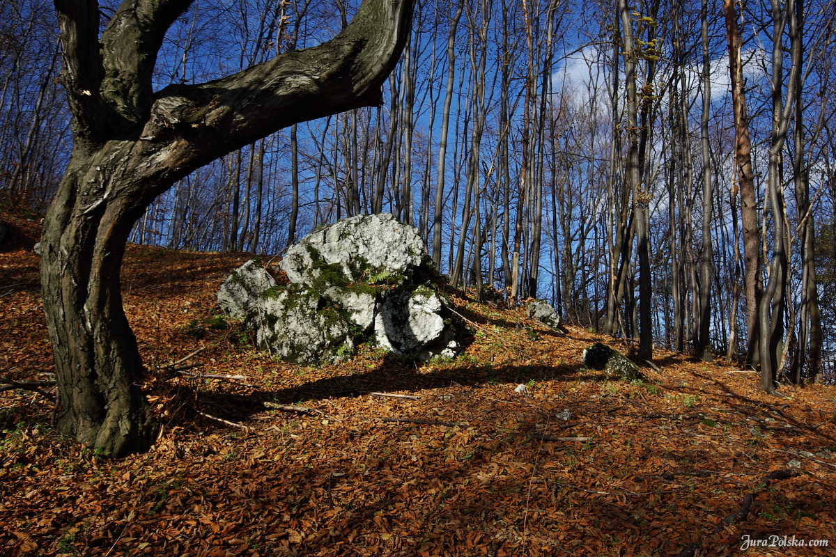 Ryczowski Region Skakowy