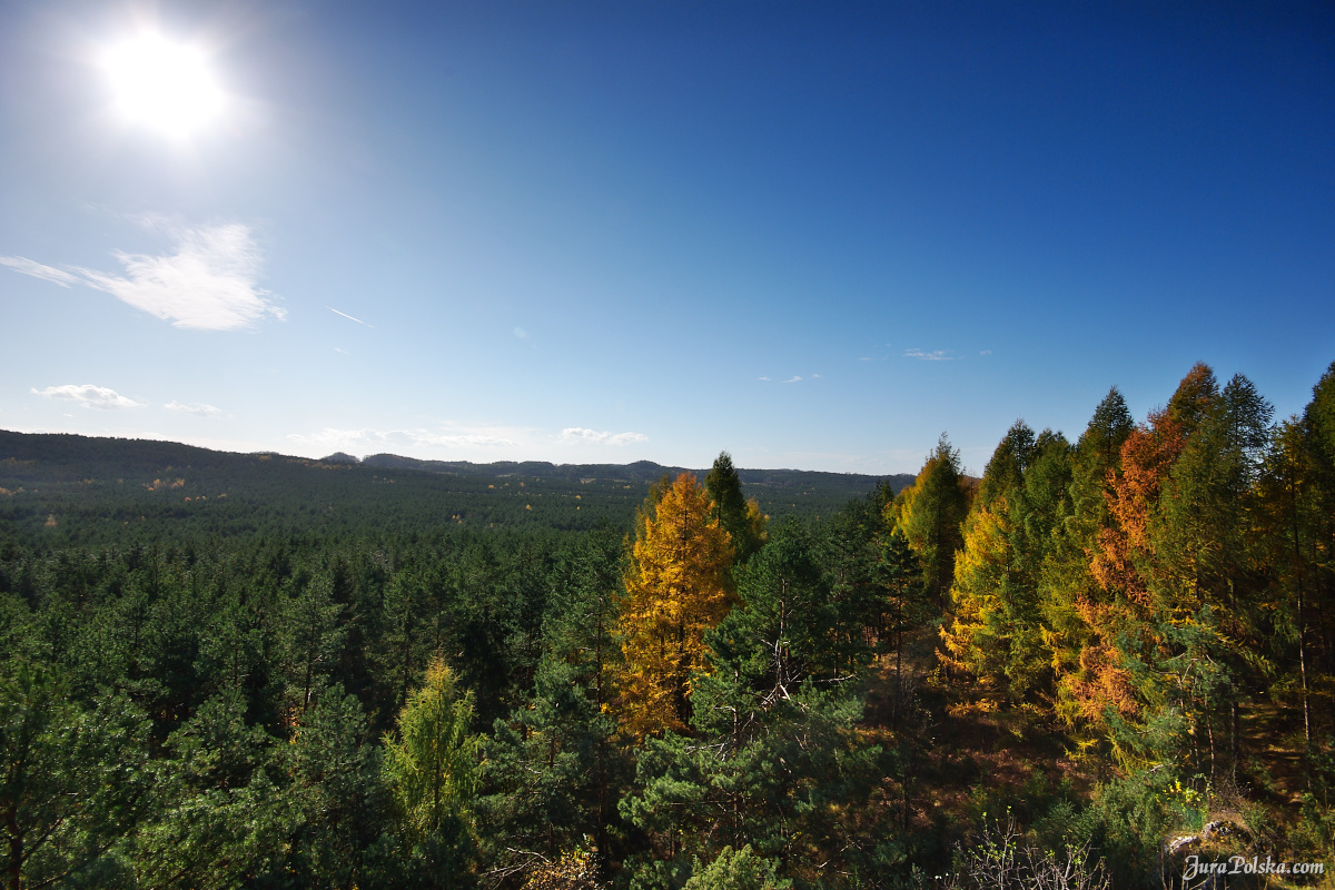 Ryczowski Region Skakowy