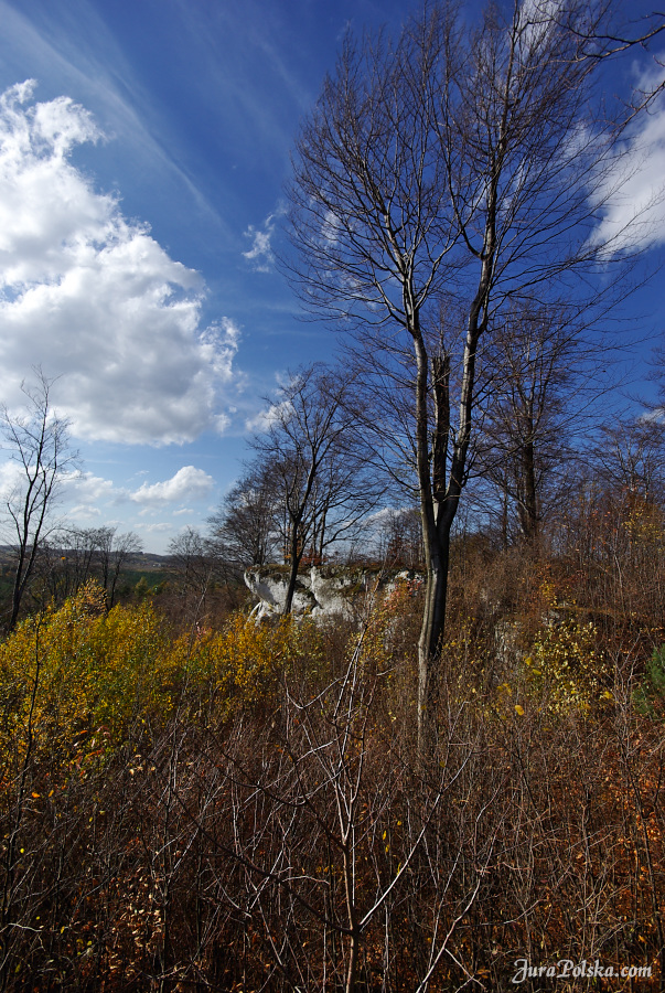 Ryczowski Region Skakowy