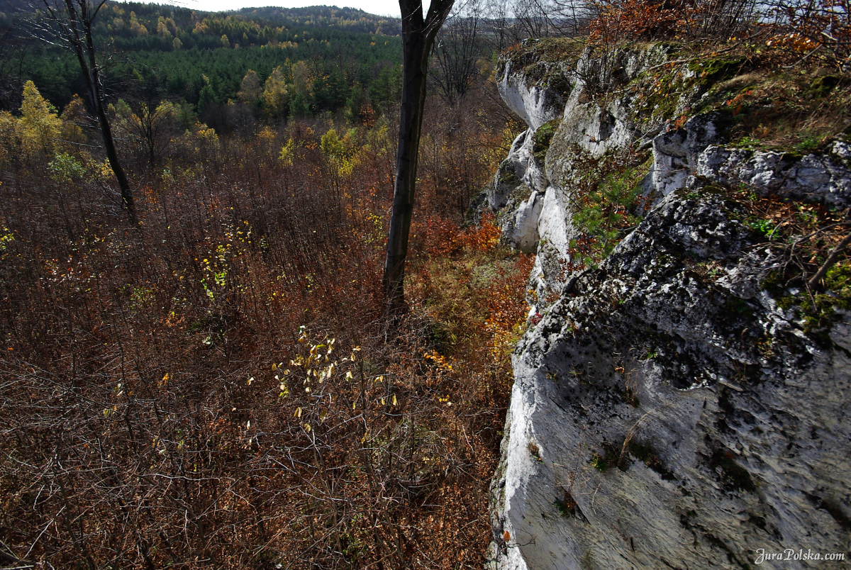 Ryczowski Region Skakowy