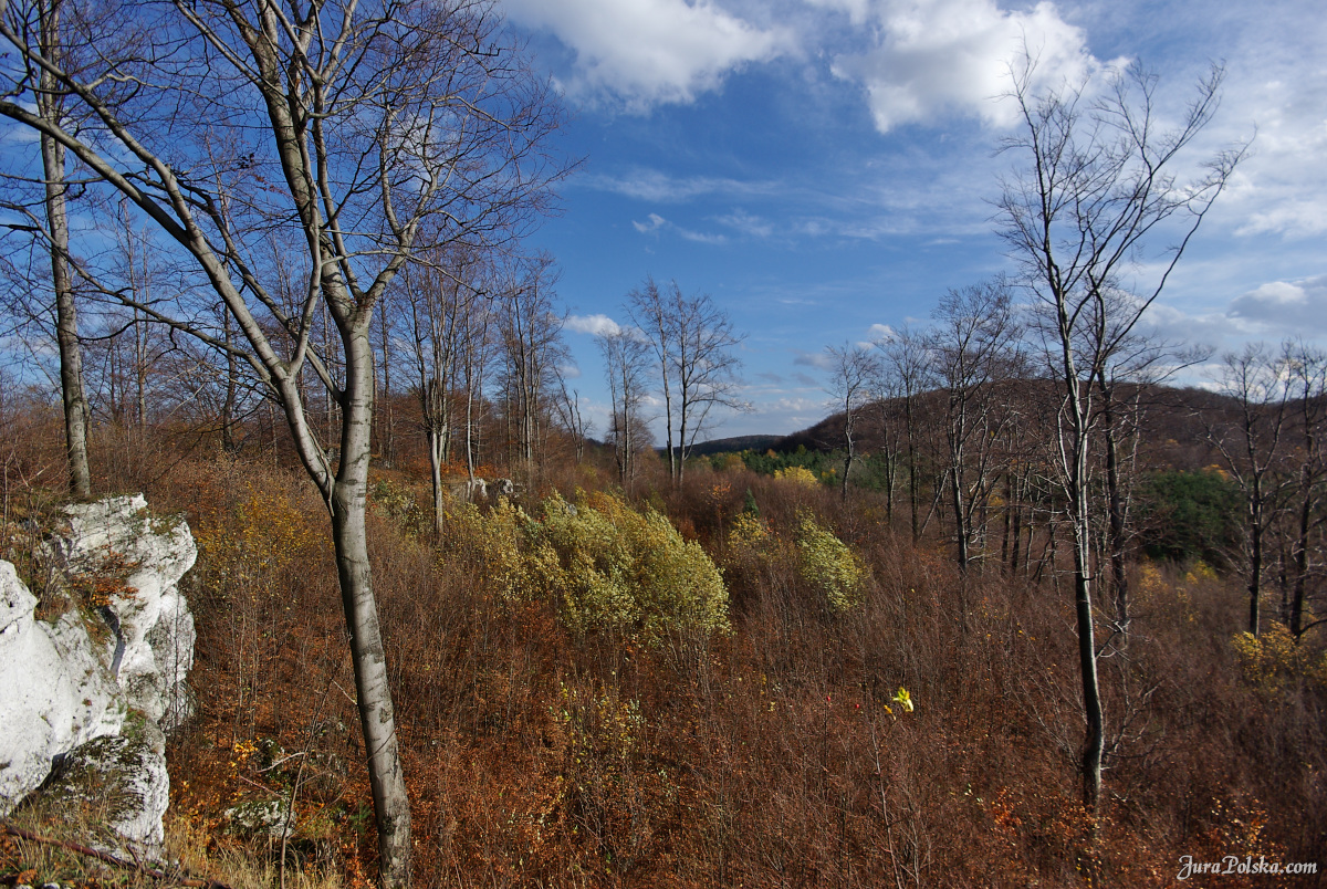 Ryczowski Region Skakowy