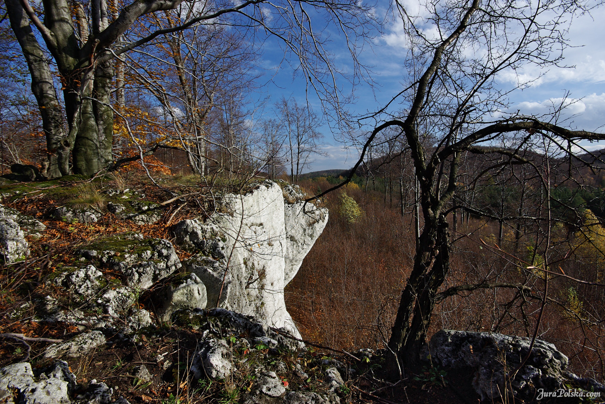 Ryczowski Region Skakowy