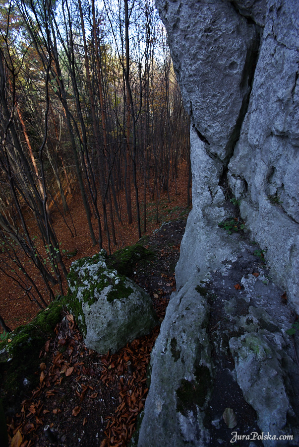 Ryczowski Region Skakowy