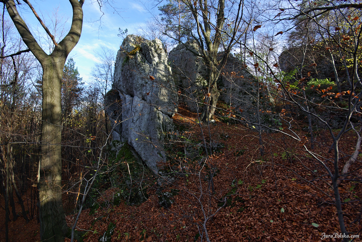 Ryczowski Region Skakowy