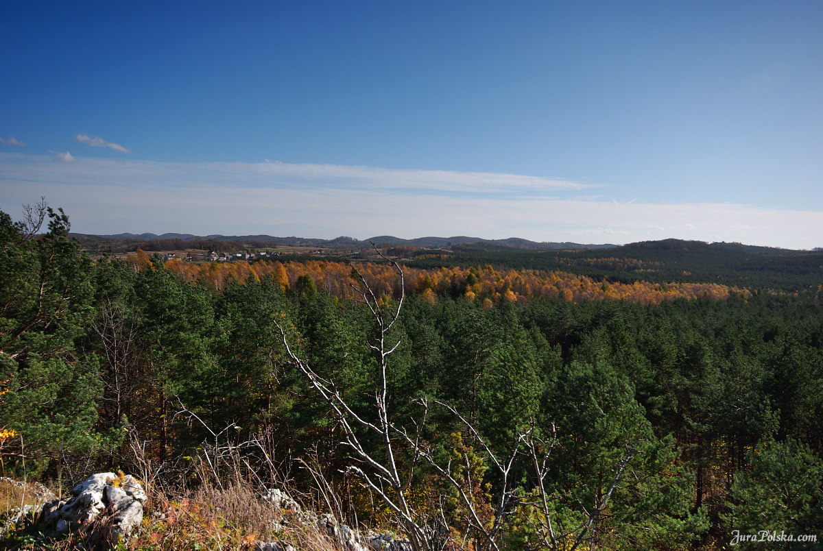 Ryczowski Region Skakowy