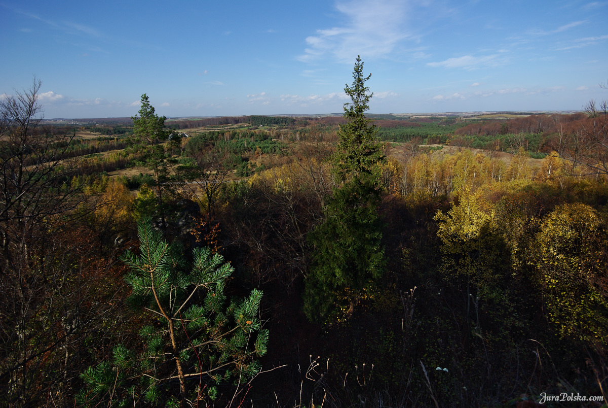 Ryczowski Region Skakowy