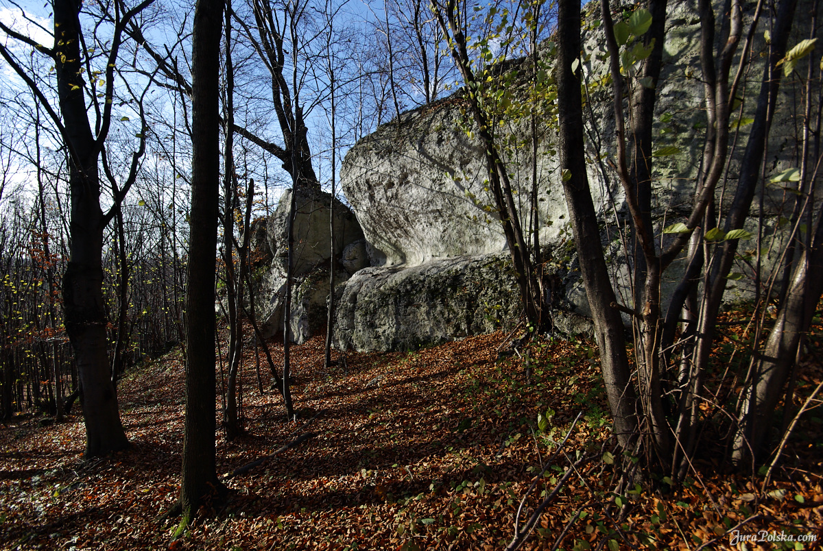 Ryczowski Region Skakowy