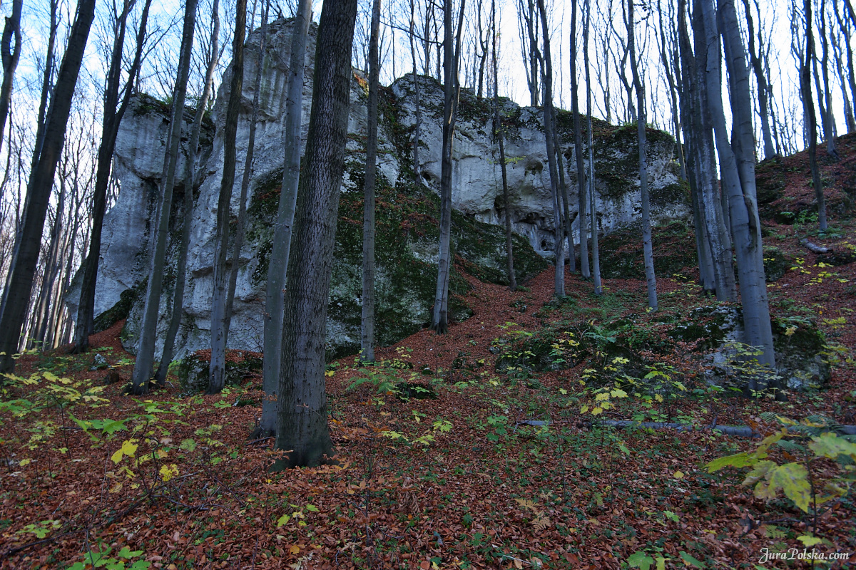 Ryczowski Region Skakowy