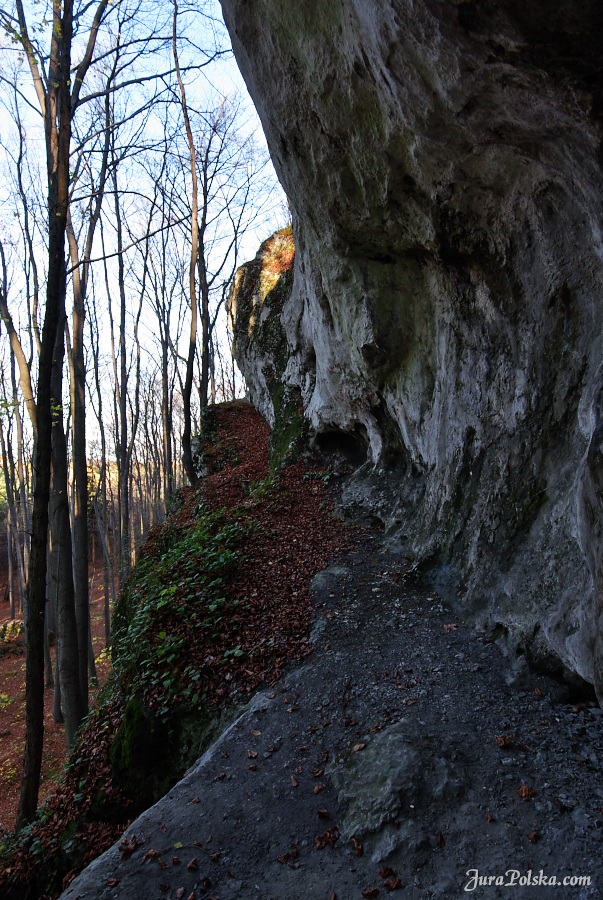 Ryczowski Region Skakowy