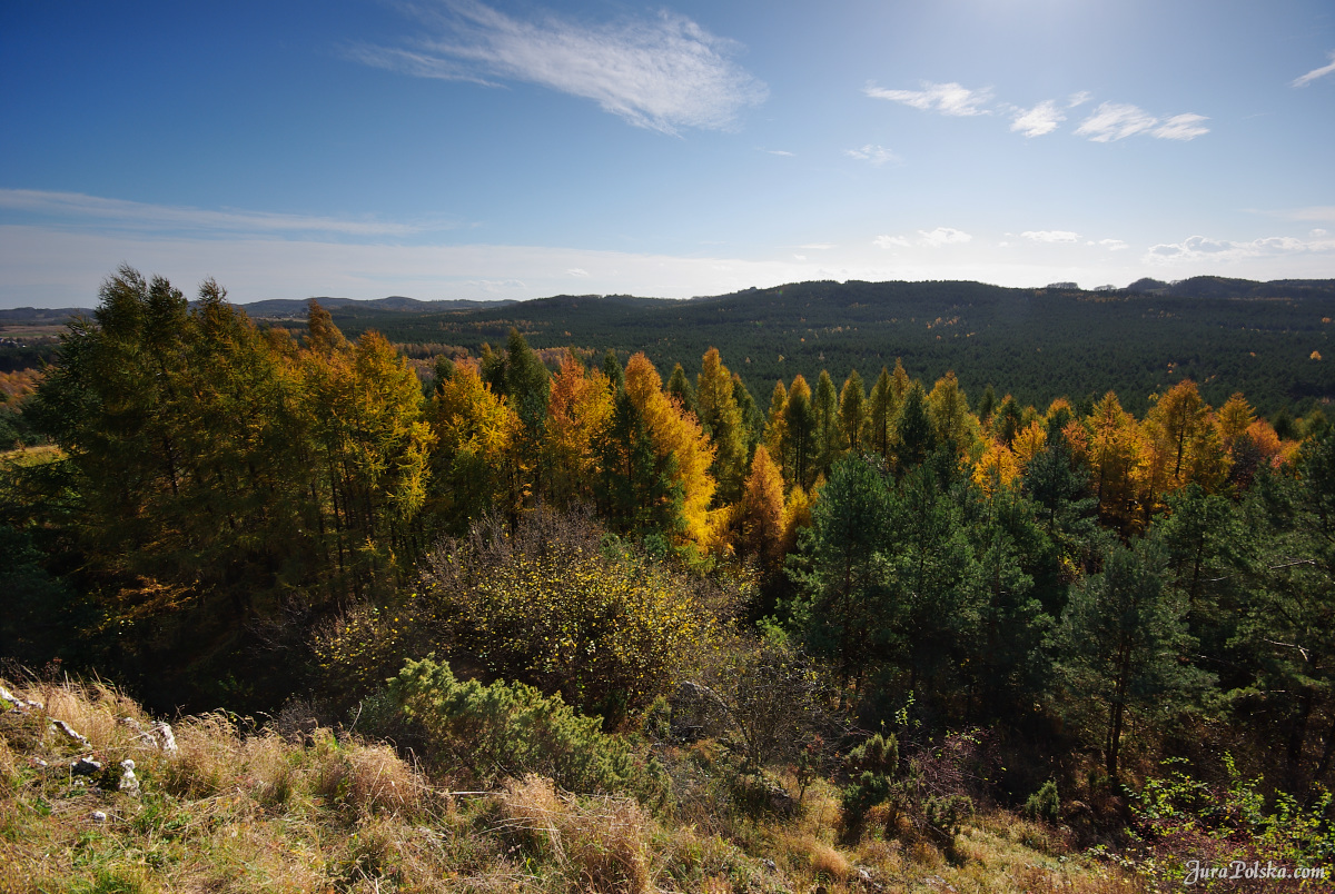 Ryczowski Region Skakowy