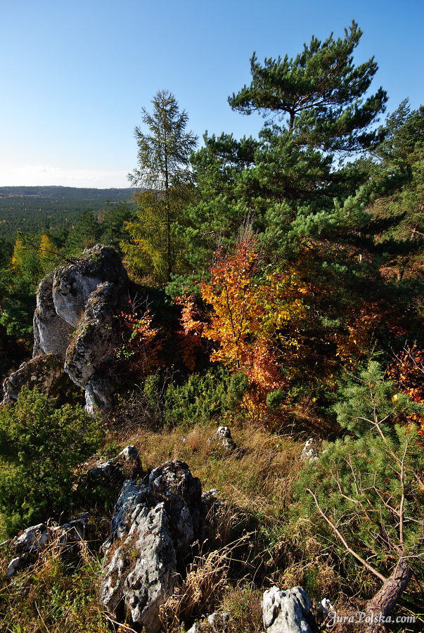 Ryczowski Region Skakowy