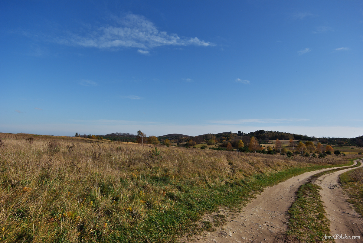 Ryczowski Region Skakowy