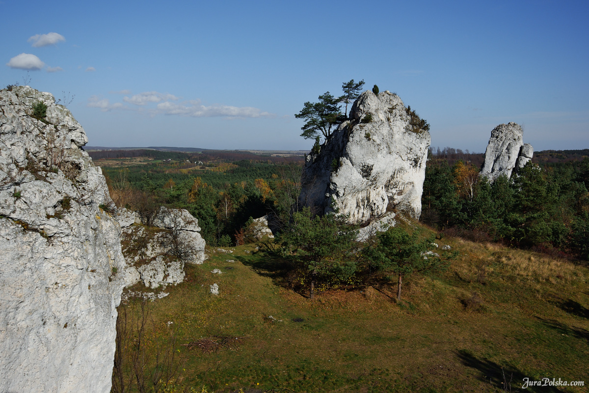 Ryczowski Region Skakowy