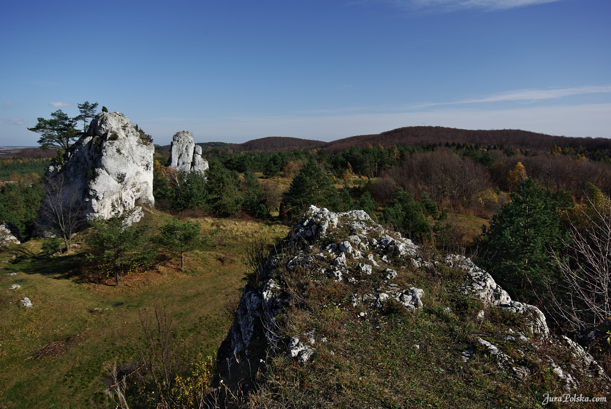 Ryczowski Region Skakowy