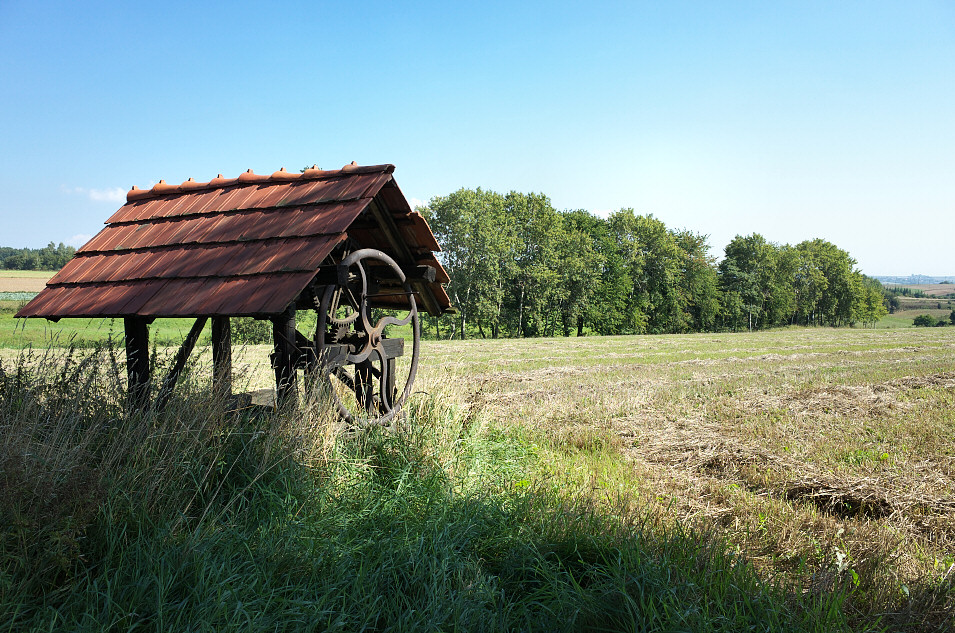 Podmiejska Wola