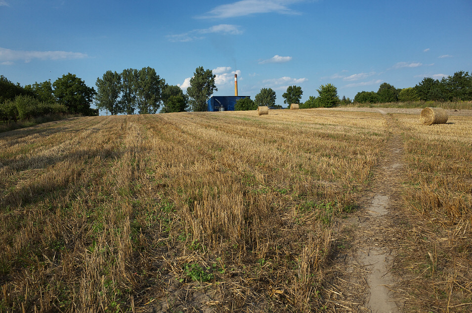 Szczekociny