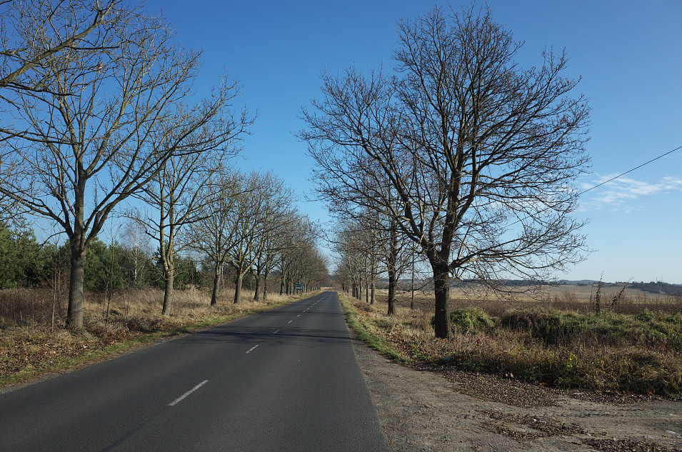 Włodowice