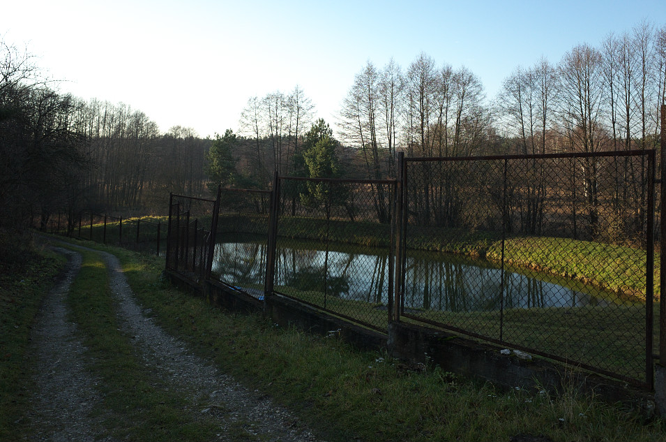 Przyłubsko