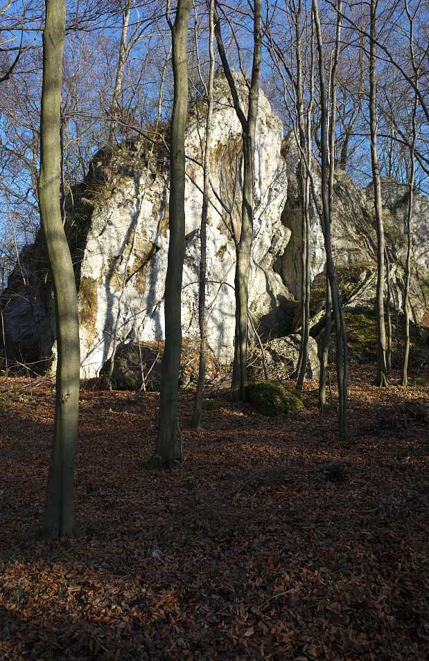 Bukowe Skały