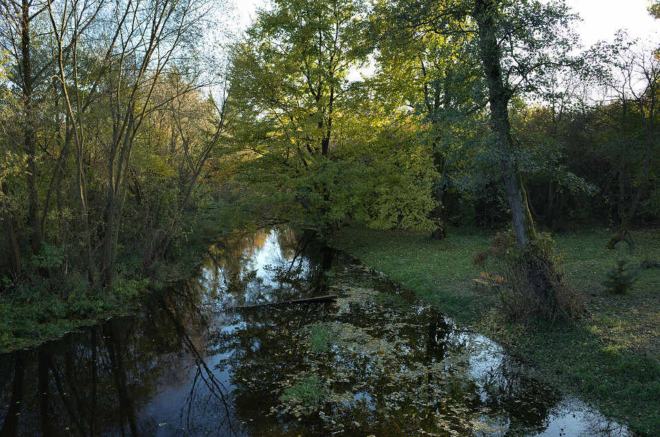 Dolina Kocinki