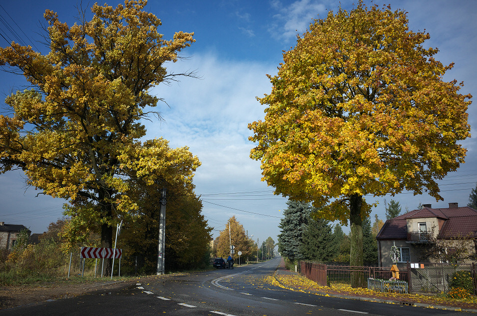 Rudniki