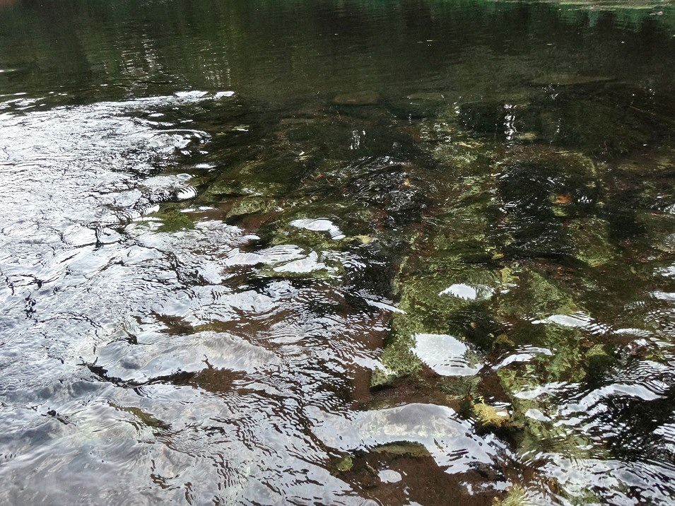 Spływ kajakowy Liswartą