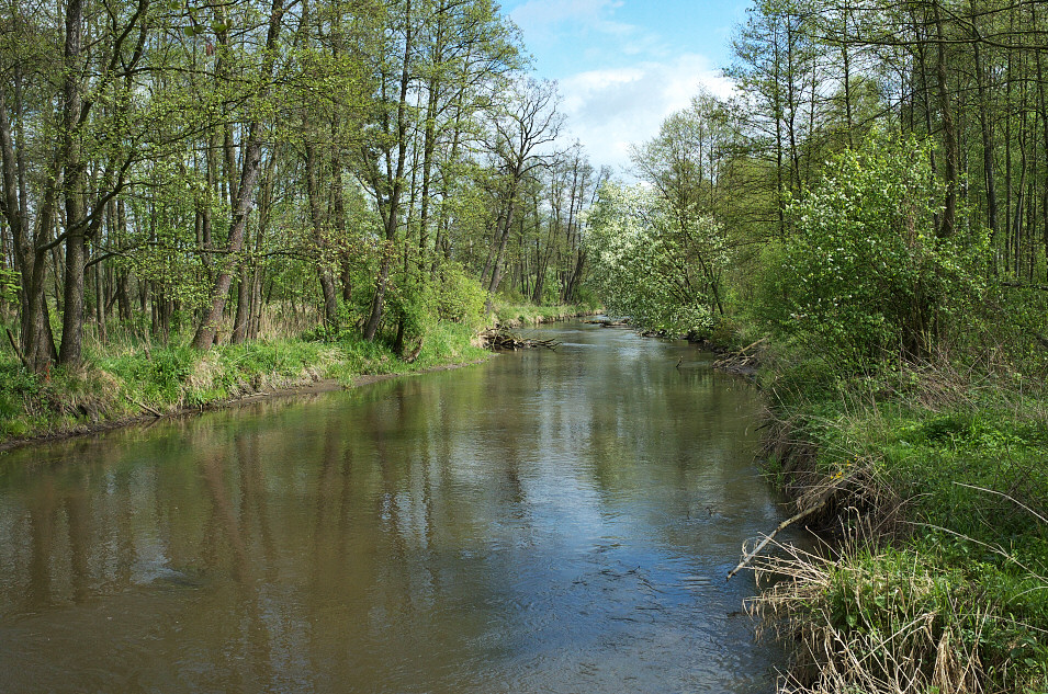 Pilica, Przyk-kietka