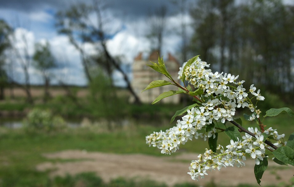 Przyk-kietka