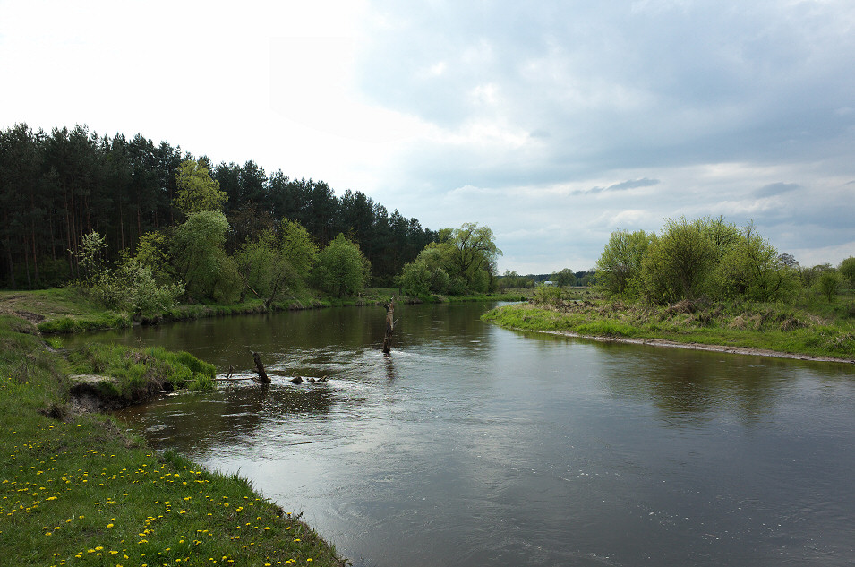 Biay Brzeg