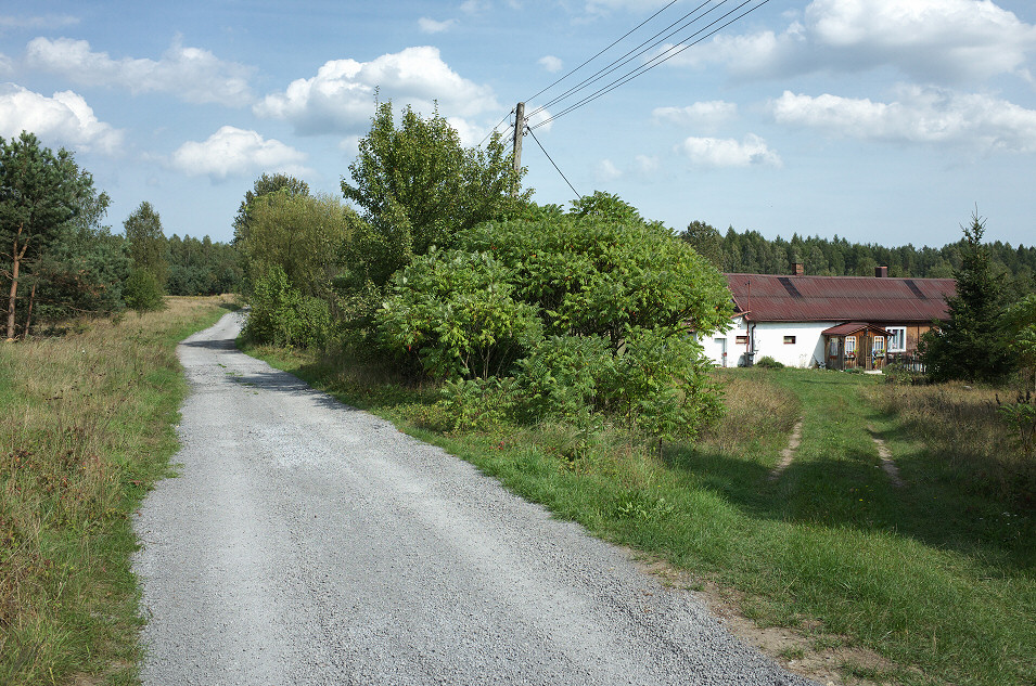 Jaworznik