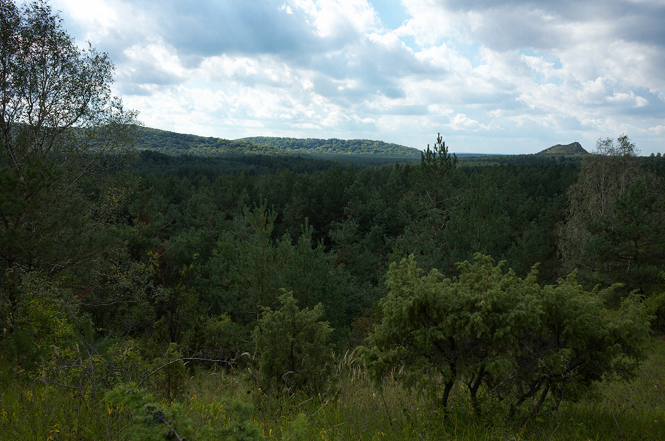 Widok z Kielnikw