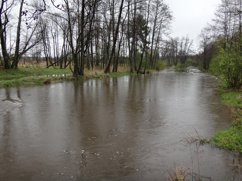 Pilica, Przyk-kietka